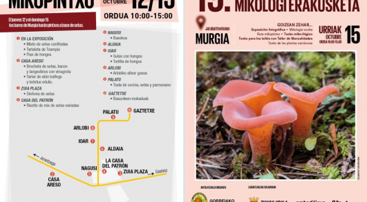 imagen_noticia